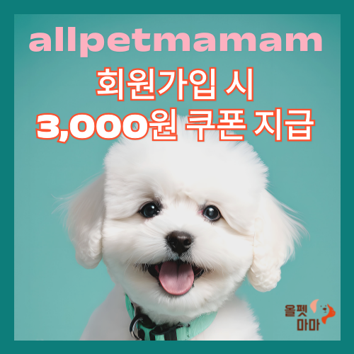 회원가입 3,000원 쿠폰 