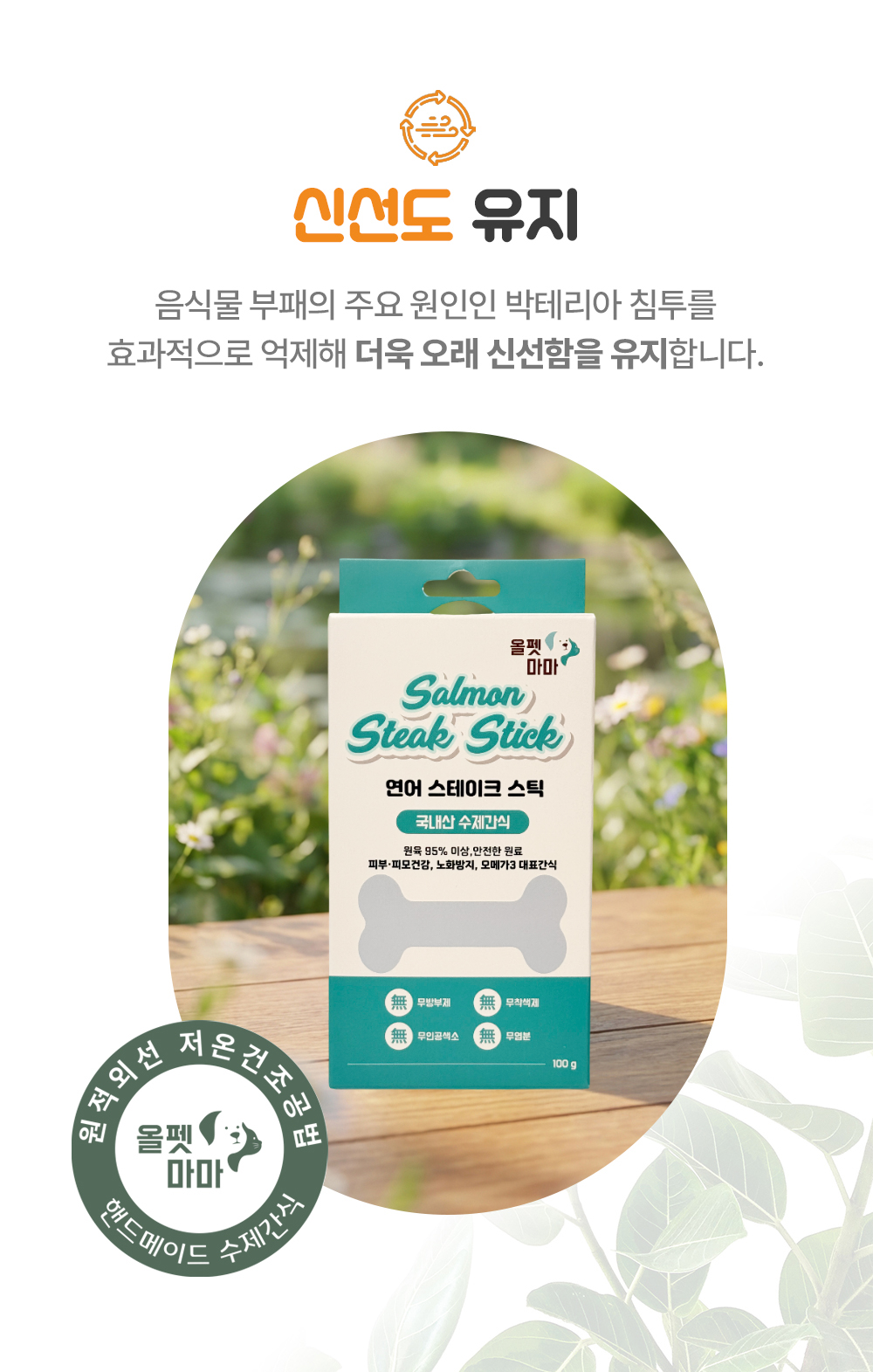 연어 스테이크 스틱 100g