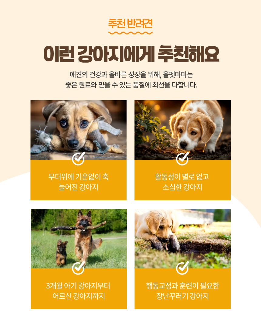 올펫마마 닭안심간식 100g