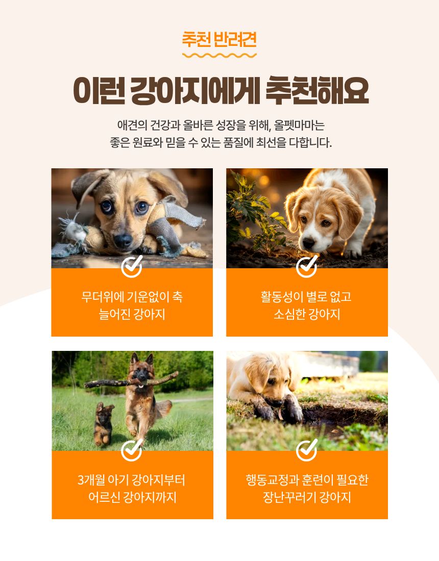 올펫마마 닭고기간식 100g