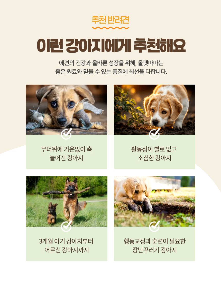 올펫마마 닭근위 간식 80g