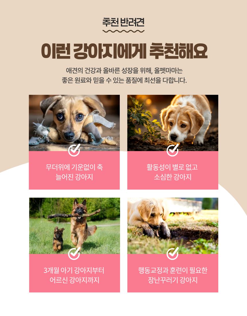 올펫마마 오리날개 간식 100g