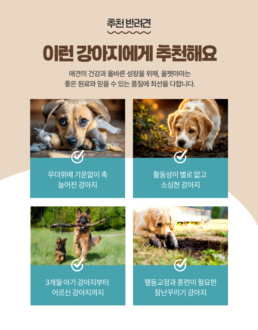 올펫마마 오리목뼈 간식 100g