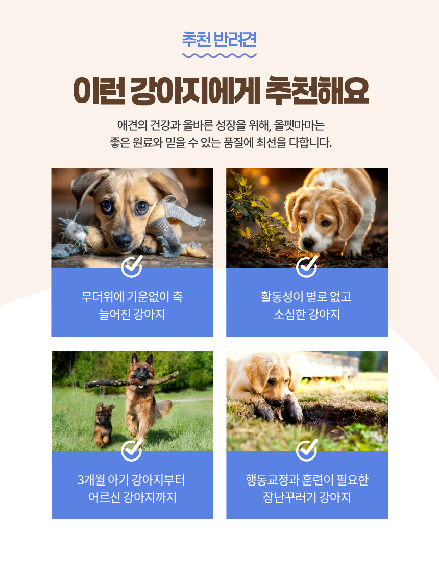 올펫마마 한우소간 간식 100g