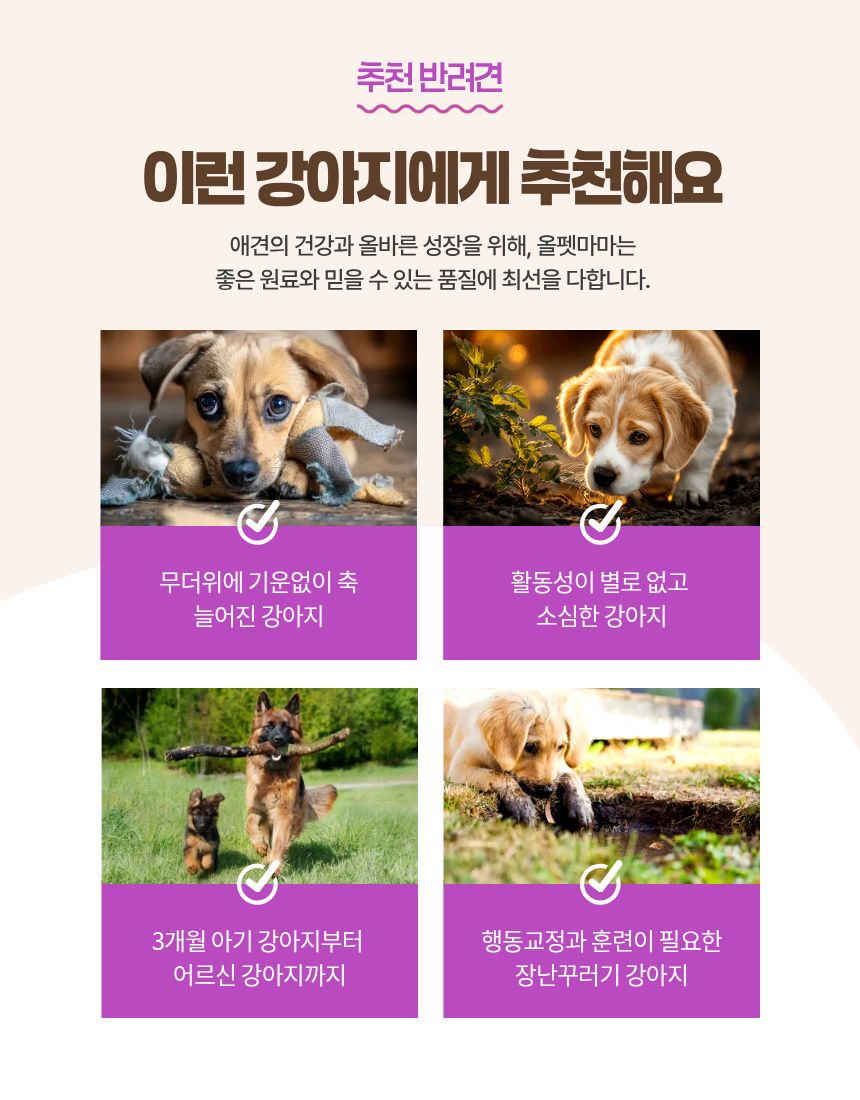 올펫마마 한우허파간식 50g
